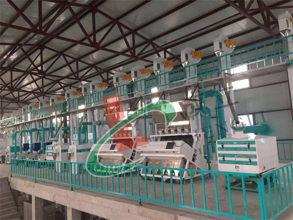 遼寧60噸小米加工設(shè)備安裝調(diào)試成功