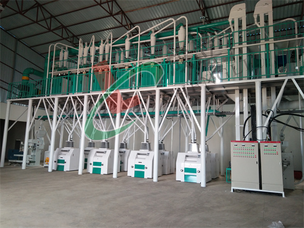 80噸級(jí)玉米加工設(shè)備